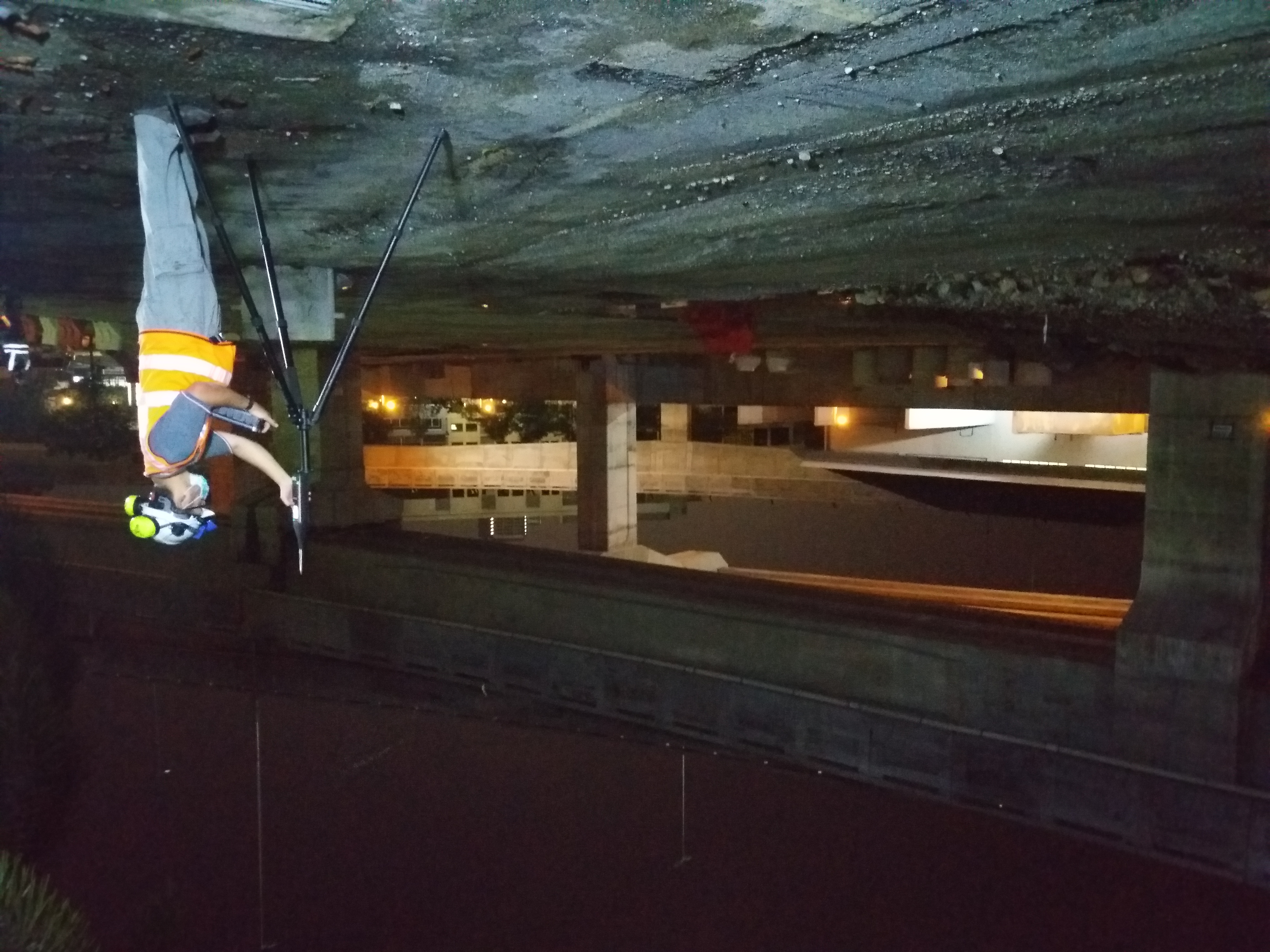 Consultation Service